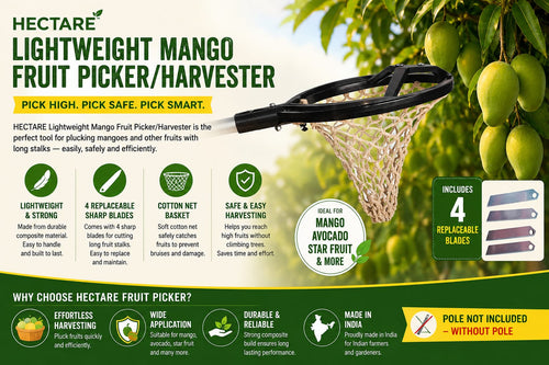 HECTARE Lightweight Mango Fruit Picker/Harvester: Safe and Convenient Fruit Harvesting