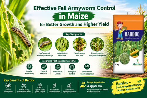 Effective Fall Armyworm Control in Maize for Better Growth and Higher Yield