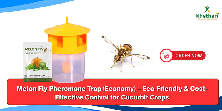 Melon Fly Pheromone Trap (Economy) – Eco-Friendly & Cost-Effective Control for Cucurbit Crops