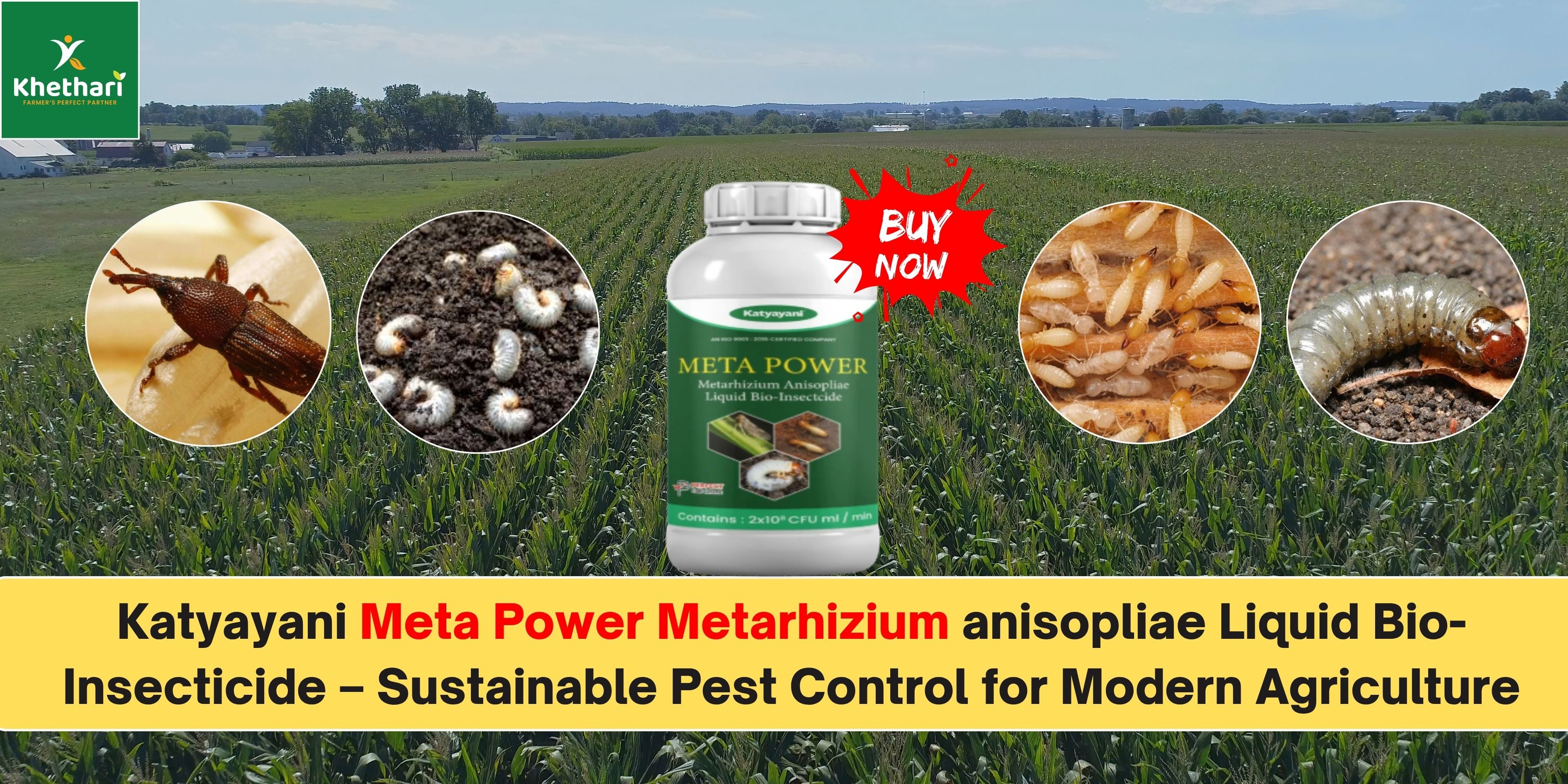 Katyayani Meta Power Metarhizium anisopliae Liquid Bio-Insecticide – S ...