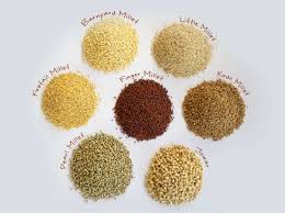Disease management of Millet