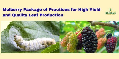Mulberry Package of Practices for High Yield and Quality Leaf Production