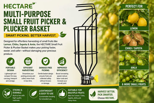 HECTARE Multi-Purpose Small Fruit Picker & Plucker Basket: A Convenient Solution for Efficient Fruit Harvesting
