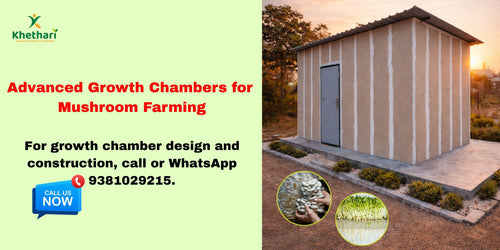 Growth Chambers for Mushroom Cultivation