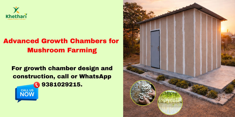 Growth Chambers for Mushroom Cultivation