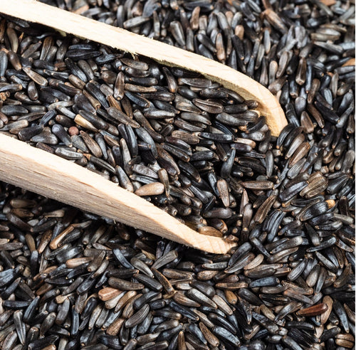 DISEASE MANAGEMENT IN NIGER SEED