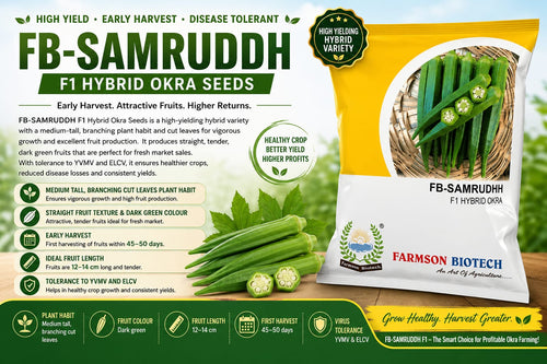 FB-SAMRUDDH F1 Hybrid Okra Seeds