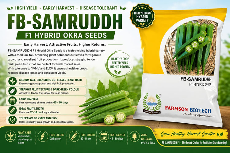 FB-SAMRUDDH F1 Hybrid Okra Seeds
