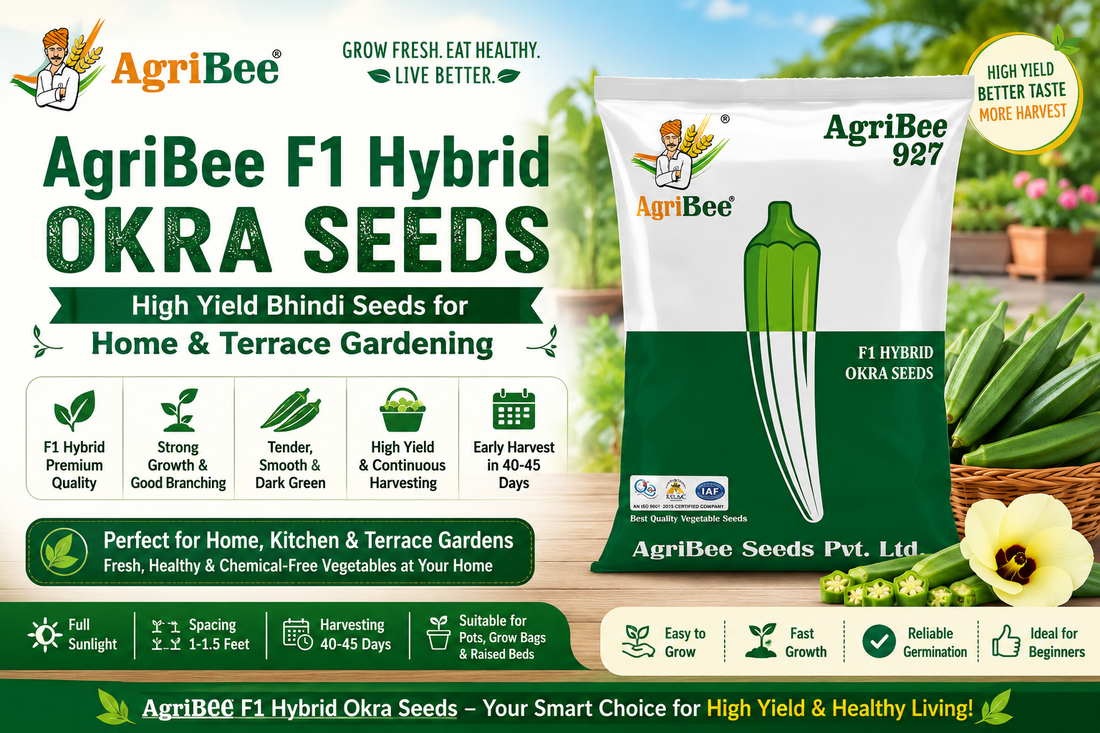 AgriBee F1 Hybrid Okra Seeds – High Yield Bhindi Seeds for Home & Terrace Gardening