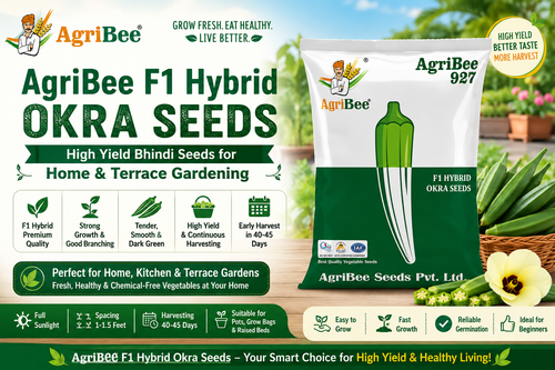AgriBee F1 Hybrid Okra Seeds – High Yield Bhindi Seeds for Home & Terrace Gardening