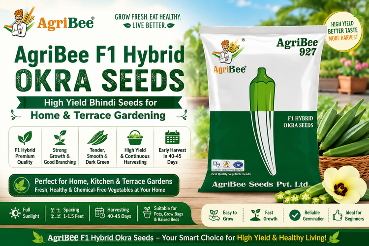 AgriBee F1 Hybrid Okra Seeds – High Yield Bhindi Seeds for Home & Terrace Gardening