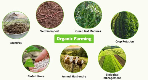 Disease Management in Organic Farming