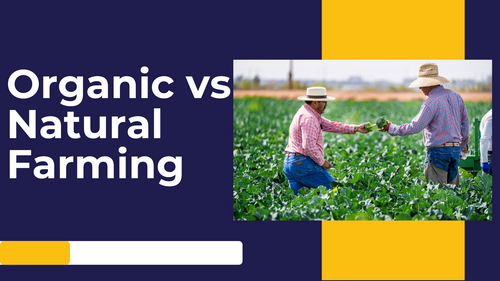 Organic vs. Natural Farming: Understanding the Key Differences