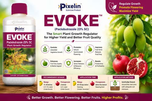 Pixelin Evoke (Paclobutrazole 23% SC): The Smart Plant Growth Regulator for Higher Yield and Better Fruit Quality