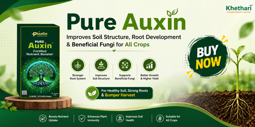Pure Auxin – Improves Soil Structure, Root Development & Beneficial Fungi for All Crops
