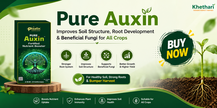 Pure Auxin – Improves Soil Structure, Root Development & Beneficial Fungi for All Crops