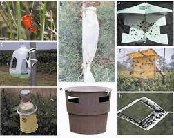 Best Fruit Fly Trap: Say Goodbye to Pesky Insects!
