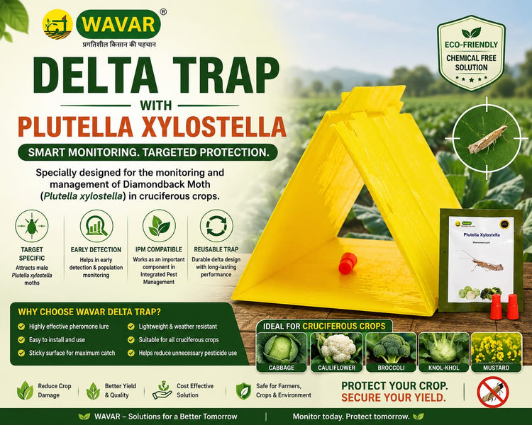 WAVAR Delta Trap with Plutella xylostella Lure