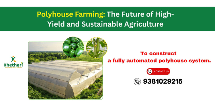 Polyhouse Farming: The Future of High-Yield and Sustainable Agriculture