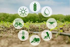 Rapid Agriculture Development
