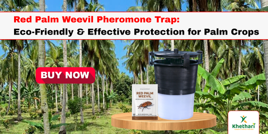 Red Palm Weevil Pheromone Trap: Eco-Friendly & Effective Protection for Palm Crops