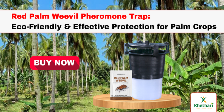 Red Palm Weevil Pheromone Trap: Eco-Friendly & Effective Protection for Palm Crops