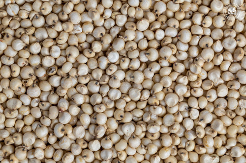 Disease management of Sorghum