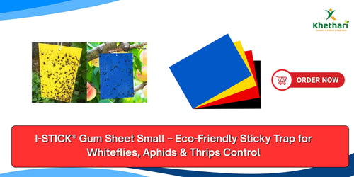I-STICK® Gum Sheet Small – Eco-Friendly Sticky Trap for Whiteflies, Aphids & Thrips Control