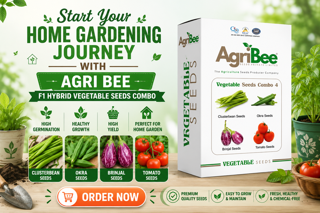 Start Your Home Gardening Journey with Agri Bee F1 Hybrid Vegetable Seeds Combo