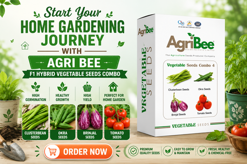 Start Your Home Gardening Journey with Agri Bee F1 Hybrid Vegetable Seeds Combo