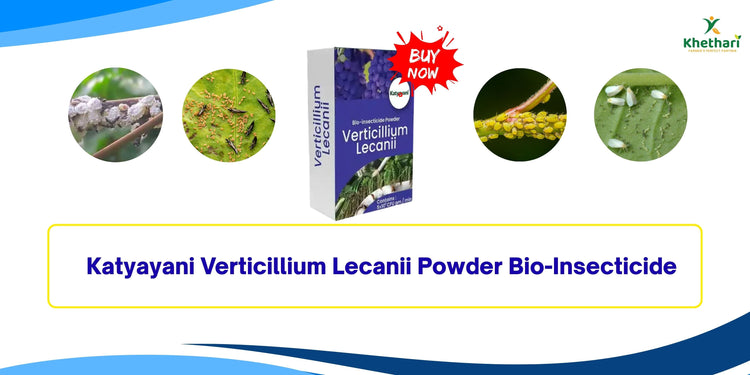 Katyayani Verticillium Lecanii Powder Bio-Insecticide