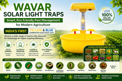 WAVAR Solar Light Traps: Smart, Eco-Friendly Pest Management for Modern Agriculture
