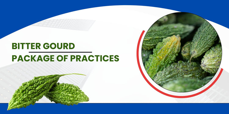 Bitter Gourd Package of practices