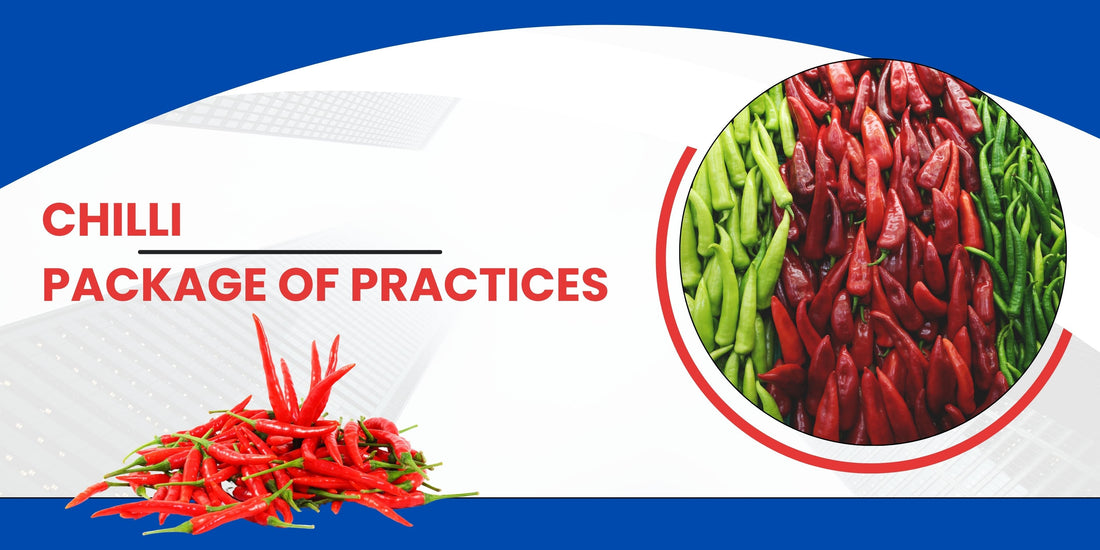 CHILLI PACKAGE OF PRACTICES