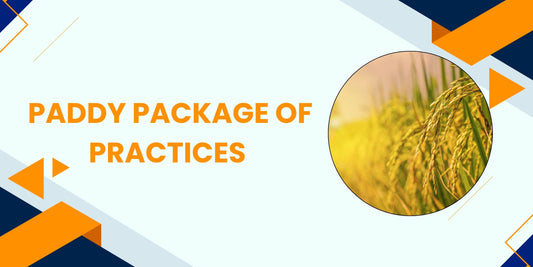 PADDY PACKAGE OF PRACTICES
