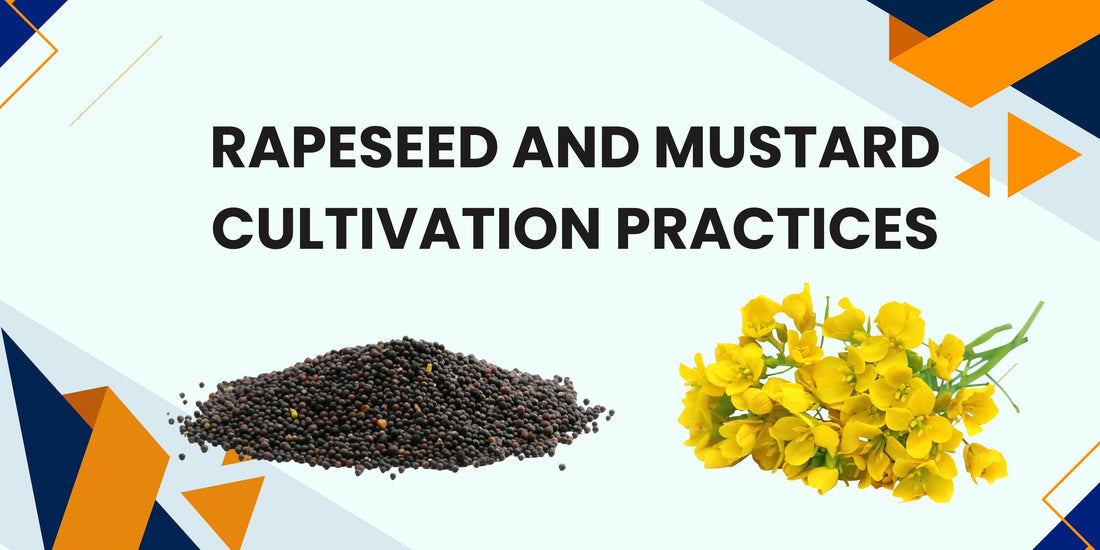 Rapeseed and Mustard Cultivation practices
