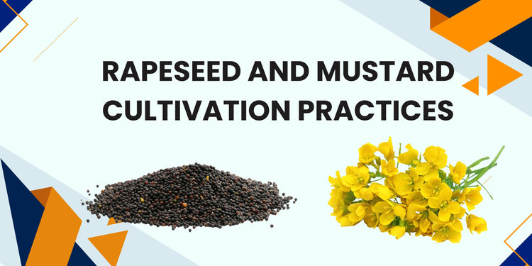 Rapeseed and Mustard Cultivation practices