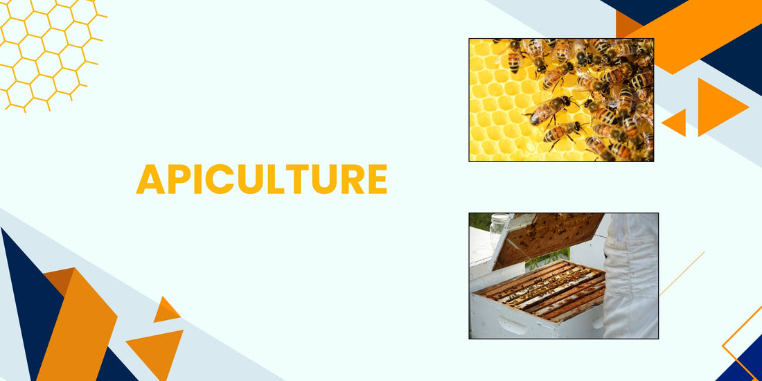 THE ULTIMATE GUIDE TO APICULTURE,ITS IMPORTANCE,HONEYBEE SPECIES AND THEIR CASTE SYSTEMS
