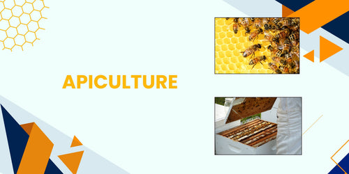 THE ULTIMATE GUIDE TO APICULTURE,ITS IMPORTANCE,HONEYBEE SPECIES AND THEIR CASTE SYSTEMS