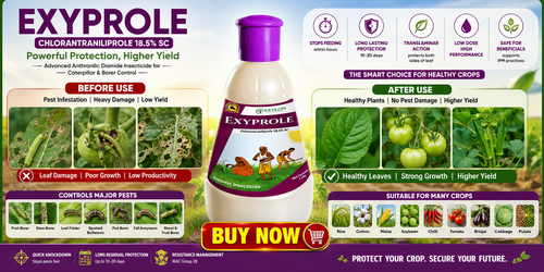 EXYPROLE-(Chlorantaniliprole 18.50% SC )/INSECTICIDE FOR Lepidopteran /khethari agri tech E commerce