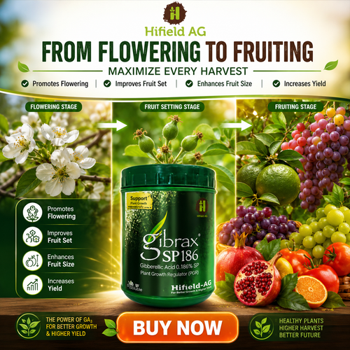 HIFIELD Gibrax SP(Gibberellic Acid 0.186% SP) / POWERFUL PLANT GROWTH REGULATOR(PGR)/BENEFITS,USES AND DOSAGE