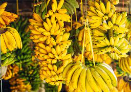 Pest management of Banana
