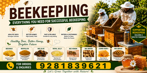 Exploring the Valuable By-Products of Beekeeping