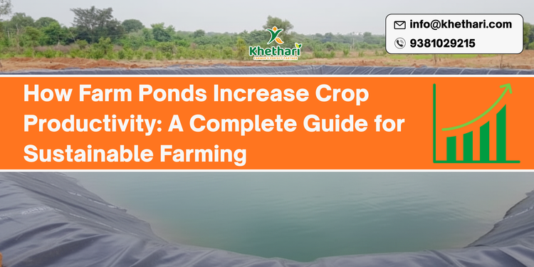 How Farm Ponds Increase Crop Productivity: A Complete Guide for Sustainable Farming