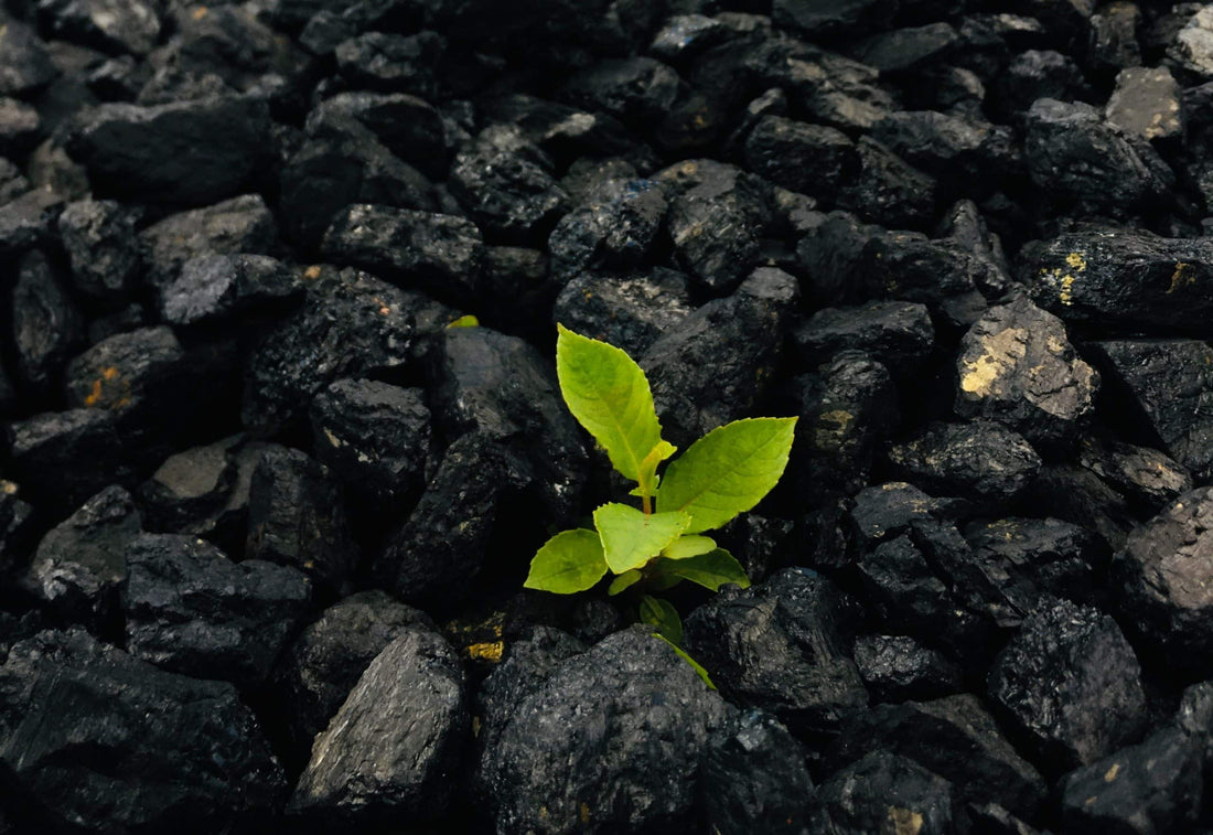 Biochar