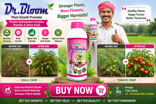 DR. BLOOM /BEST STIMULANT INCREASES THE FLOWERING AND FRUITING IN CROPS
