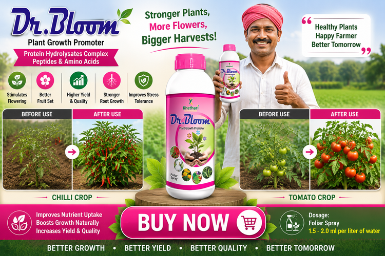 DR. BLOOM /BEST STIMULANT INCREASES THE FLOWERING AND FRUITING IN CROPS