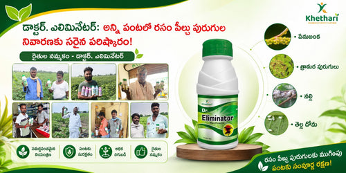 డాక్టర్. ఎలిమినేటర్: అన్ని పంటలలో రసం పీల్చు పురుగుల నివారణకు సరైన పరిష్కారం!