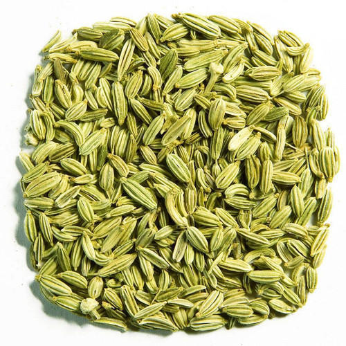 Grub Control Strategies for Fennel Crops