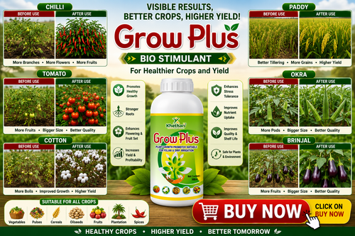 Grow Plus Bio Stimulant | Plant Growth Promoter for Healthier Crops & Higher Yield